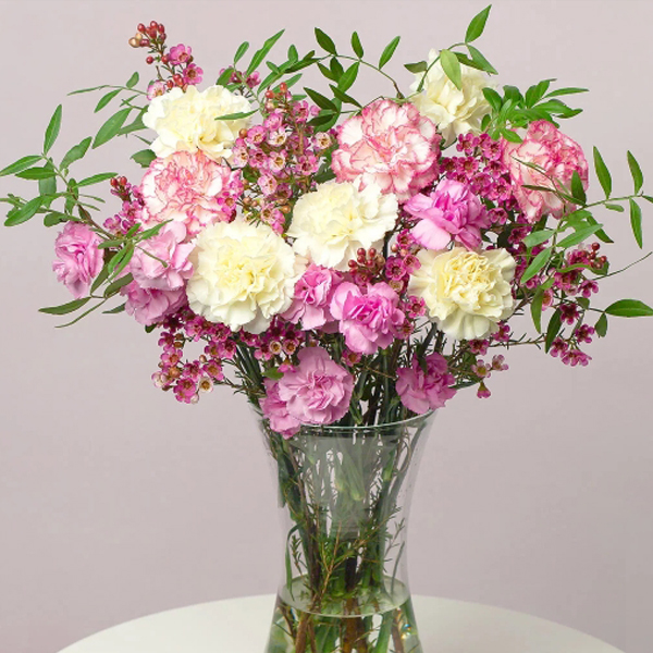 Bunches